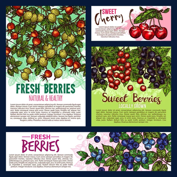 Tuin en wilde bessen fruit posters — Stockvector