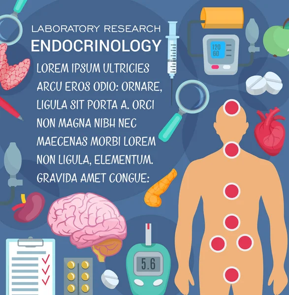 Endocrinology laboratory research medical poster — Stock Vector