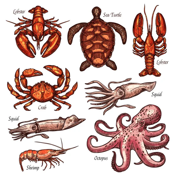 Kabuklu deniz ürünleri ve deniz hayvanları çizimler — Stok Vektör