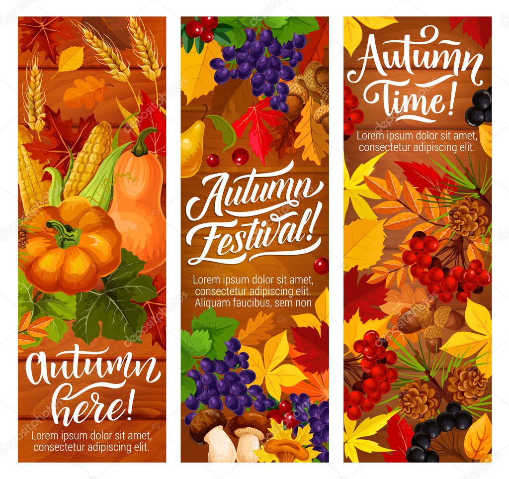 Autumn fallen leaves banners for harvest festival