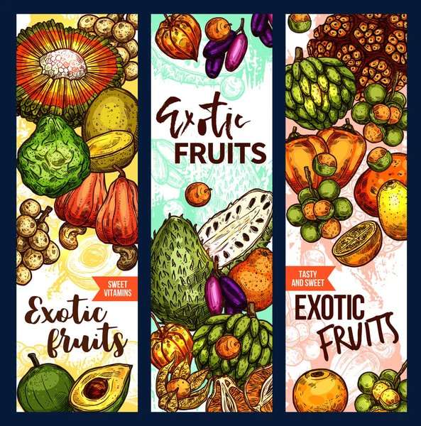 Banderas vectoriales de bocetos de frutas exóticas — Vector de stock