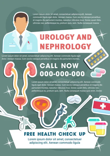 Vector medical poster of urology and nephrology — Stock Vector
