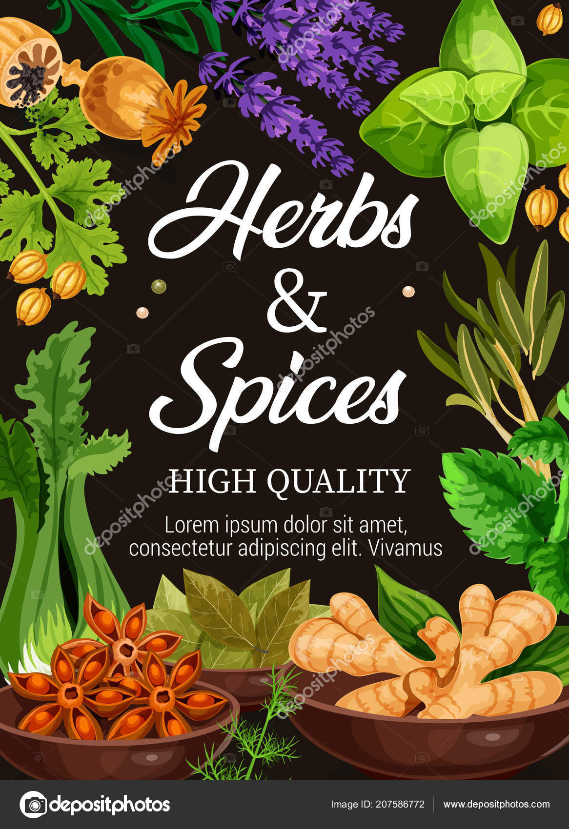 Premium quality herbs and spices seasonings poster Stock Vector Image by ©Seamartini 207586772