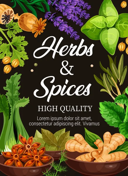 Prémium minőségű gyógynövények és fűszerek, Ételízesítők poszter — Stock Vector