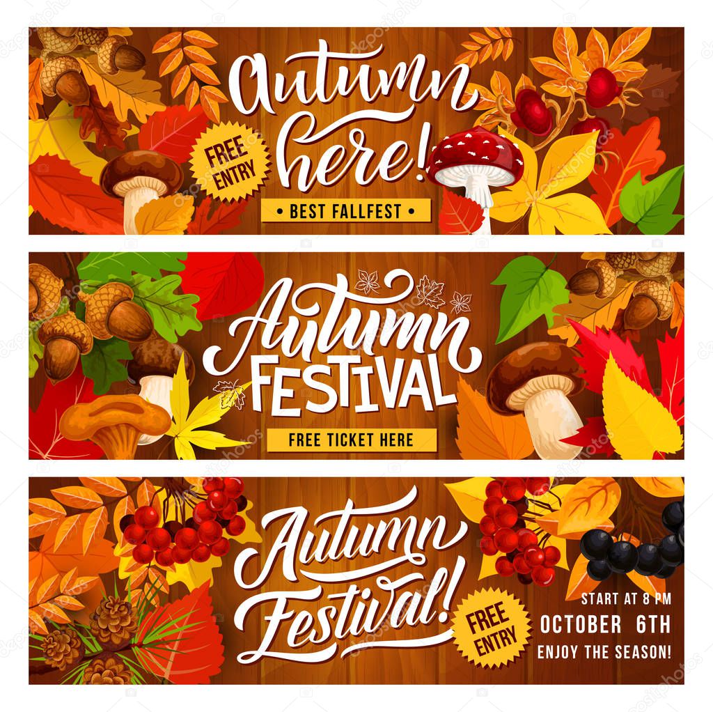 Autumn harvest festival invitation banner design