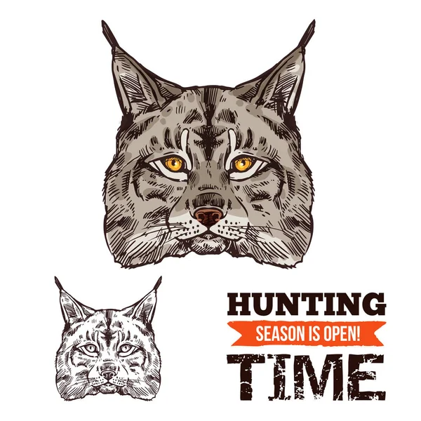 Lynx zvířecí skica wild cat nebo bobcat predátor — Stockový vektor