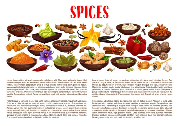 Spices, condiments and food seasoning banner — Stock Vector