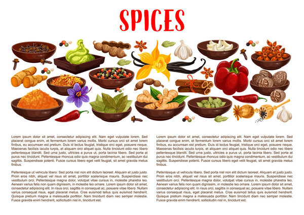 Spices, condiments and food seasoning banner
