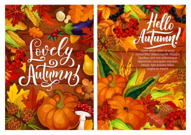 Sonbahar yaprakları ve sebze hasat ile sonbahar poster. Sarı akçaağaç yaprakları ve Mısır, mantar ve kabak, patlıcan ve meşe palamudu, armut ve koni, kartopu ve buğday, siyah frenk üzümü ve squash vektör