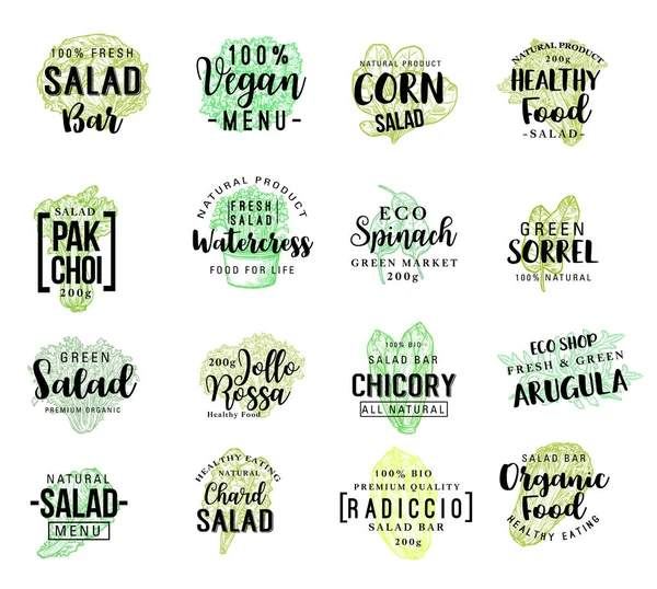 Ensaladas verduras vector boceto letras — Vector de stock