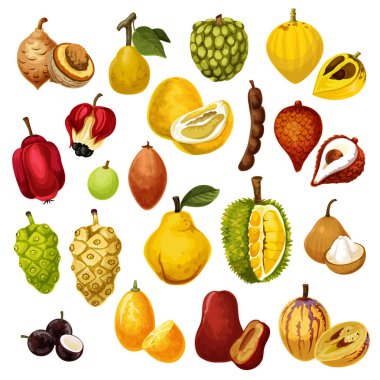 Exotic tropical fruits vector icons clipart