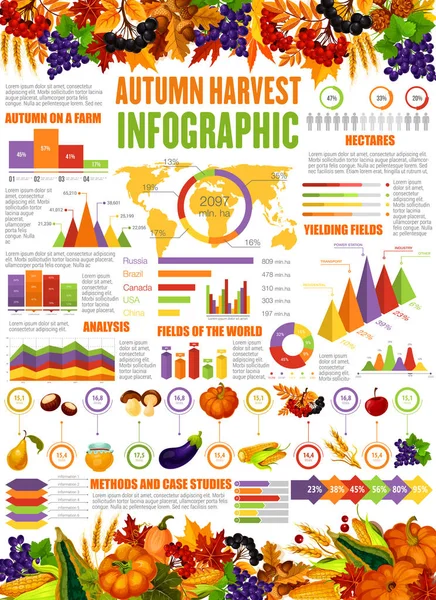 Autumn Harvest Infographic Seasonal Statistics Poster Vector Diagrams Farm Vegetables — Stock Vector