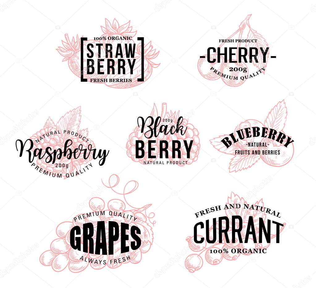 Berry lettering sketch calligraphy for farm market. Vector harvest or strawberry, cherry or organic raspberry and blueberry with blackberry, grapes and currant for juice or jam package design