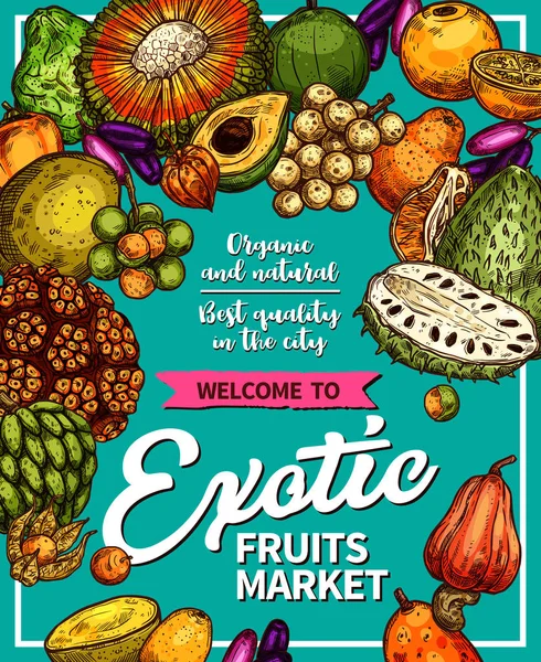 Frutas exóticas granja mercado vector bosquejo cartel — Archivo Imágenes Vectoriales