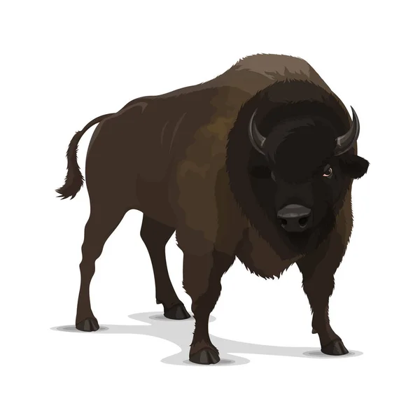Grande desenho animado bisão selvagem animal —  Vetores de Stock