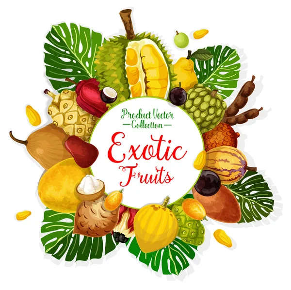 Egzotikus trópusi gyümölcsök és bogyók, tenyér-levél — Stock Vector