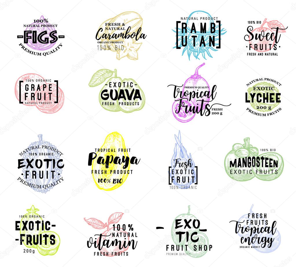 Exotic hand drawn lettering with sketch fruits. Papaya, grapefruit and carambola, lychee, durian and fig, guava, passion and dragon fruit. Food packaging label design
