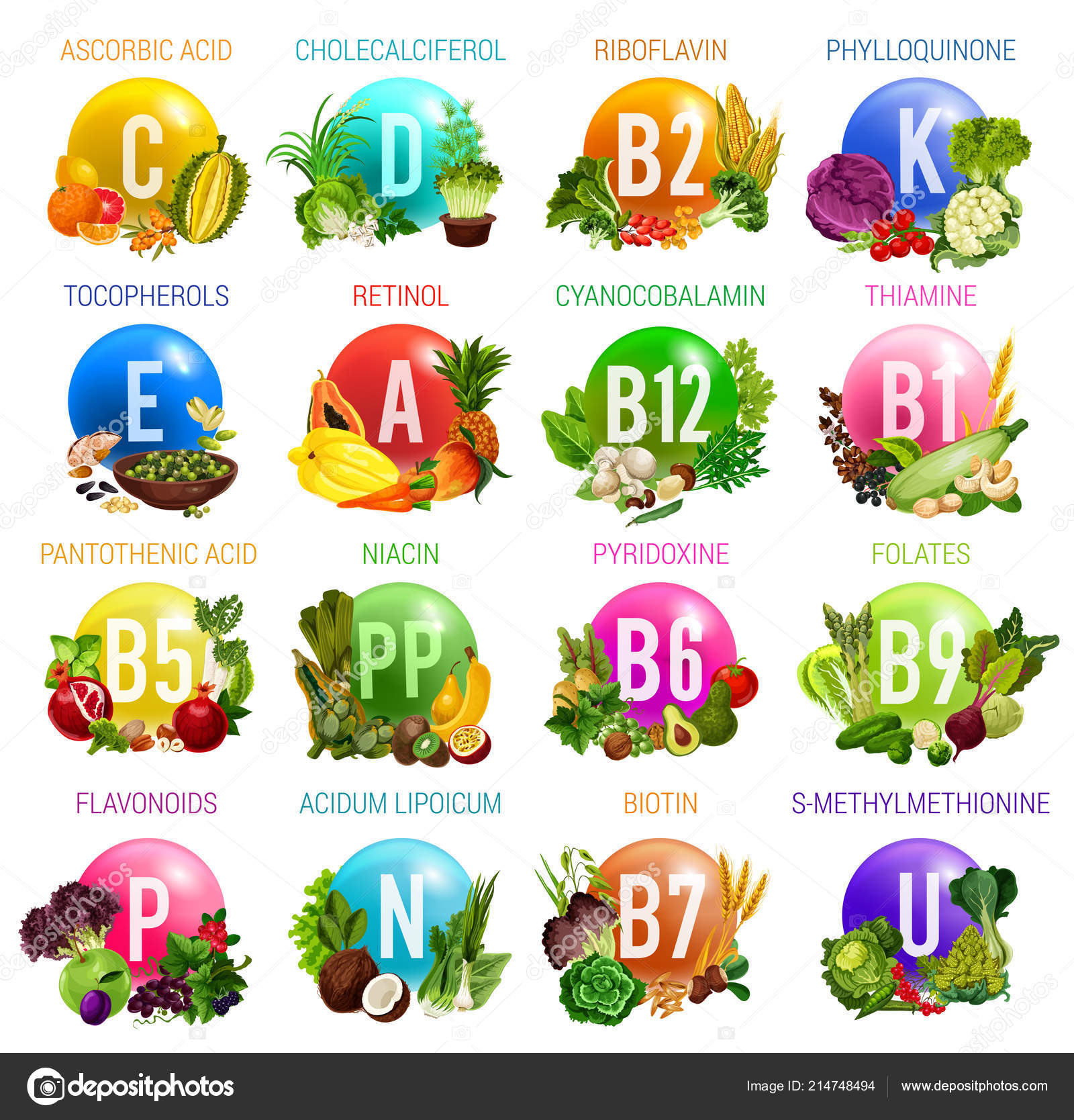 Vitamins and minerals, organic natural food Stock Vector Image by ©Seamartini 214748494