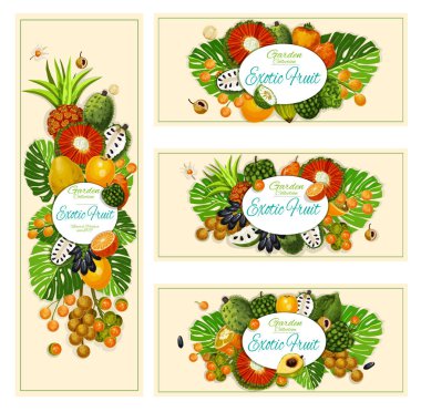 Egzotik tropik meyveler, çiftlik piyasa afiş. Vektör tasarımı pandan meyve, longkong veya soursop elma ve physalis, bergamot veya mombin ve mandalina veya naranjilla ve jambolan ile lucuma