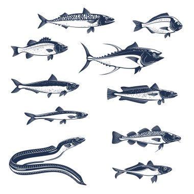 Sea and ocean fishes vector icons clipart