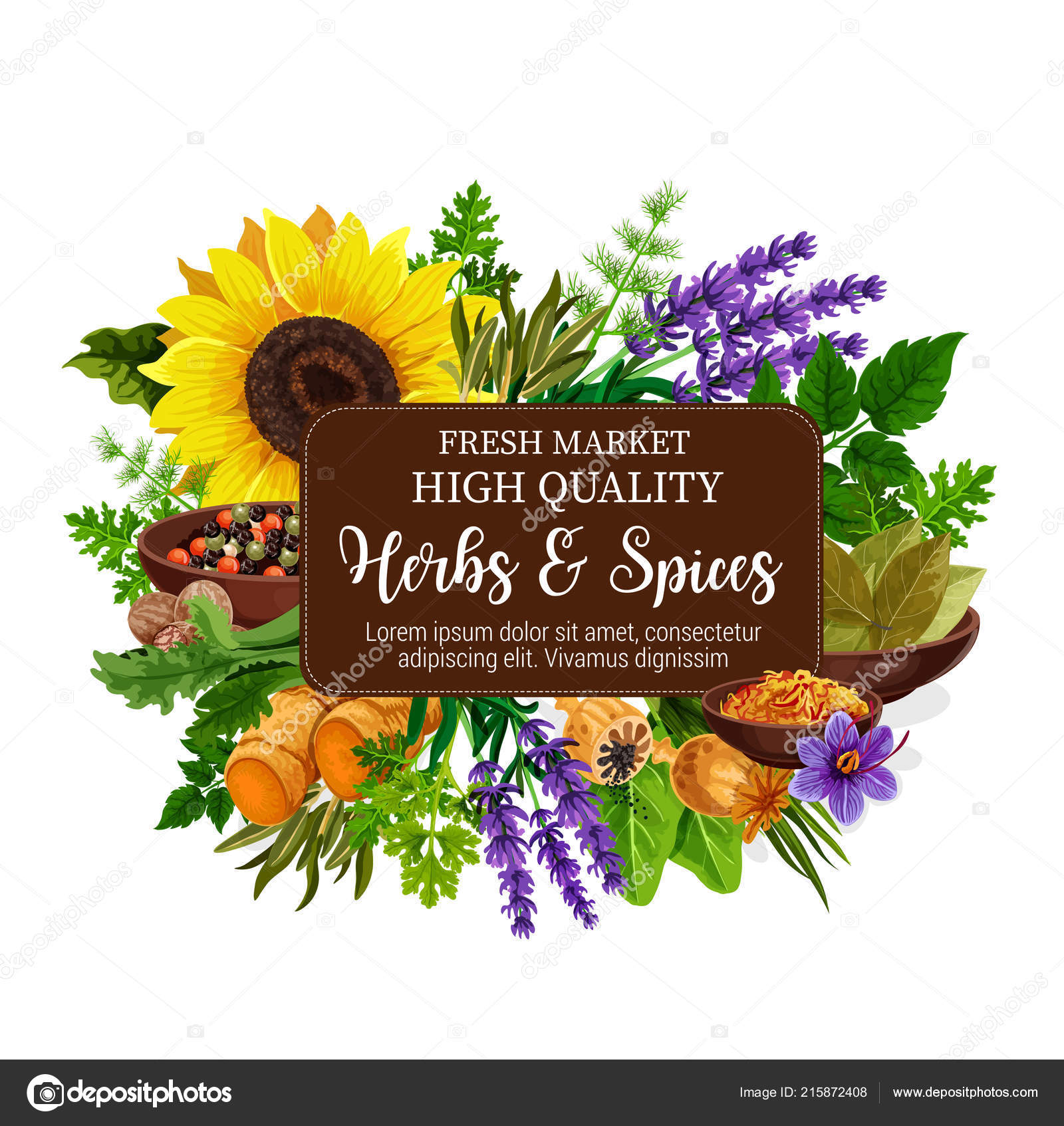 Natural herbs and spices poster Stock Vector Image by ©Seamartini