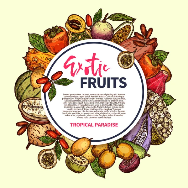 Exotische vruchten en tropische bessen frame — Stockvector