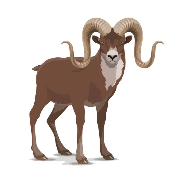 Screw horned markhor goat, vector wild animal — Stock Vector