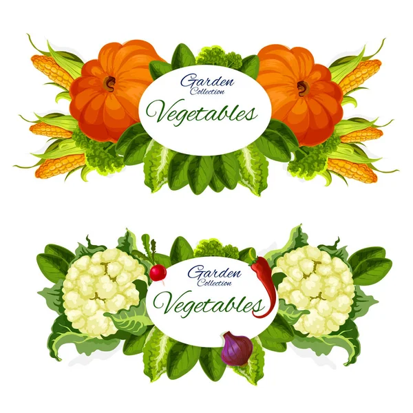 Natural vegetables and grocery products vector — Stock Vector