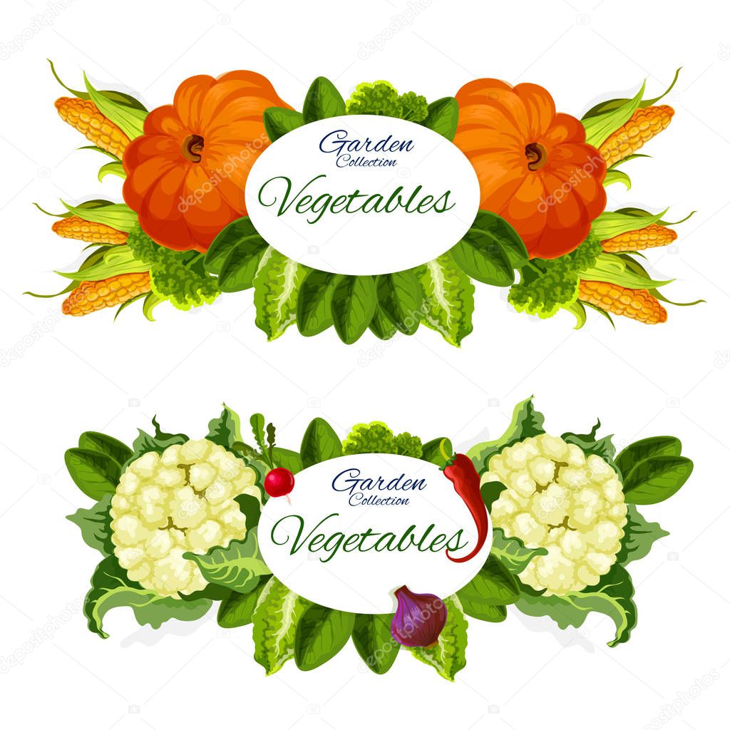 Natural vegetables and grocery products vector