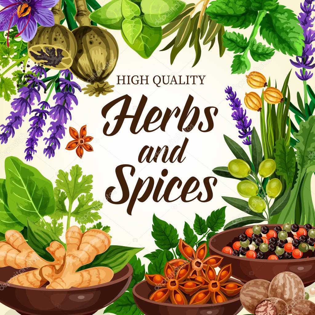 Seasoning, spices, herbs and condiments vector
