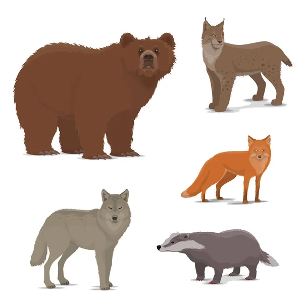 野生の森林動物キツネ、アナグマ、オオヤマネコ、クマのアイコン — ストックベクタ