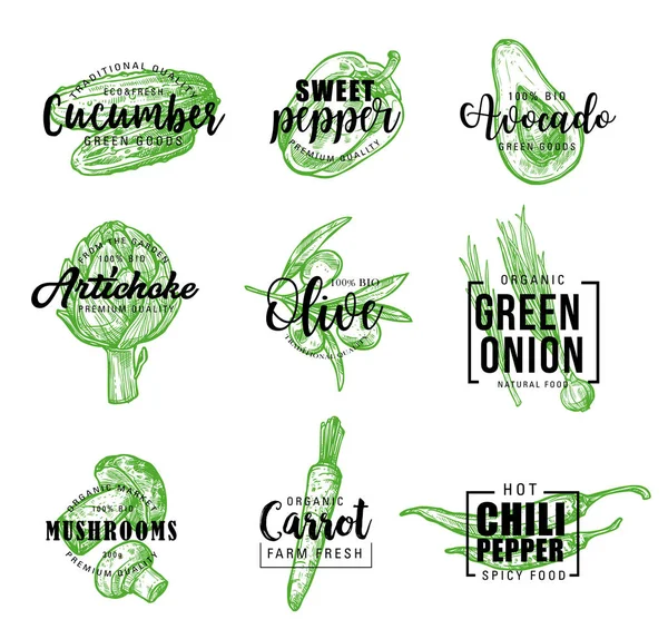 Verduras ecológicas letras verdes iconos — Vector de stock