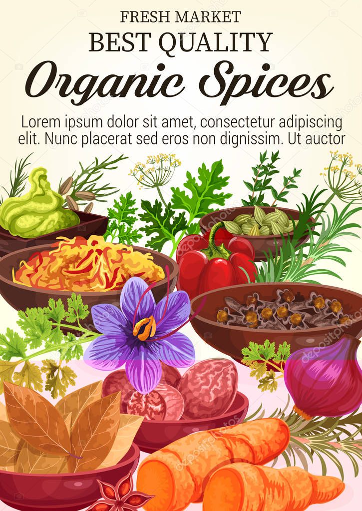 Vector poster of organic spices and herbs
