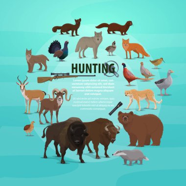 Av hayvan poster tüfekle ve daha hafif. Avcı av, ayı ve buffalo, porsuk ve keçi, geyik ve lynx, sülün ve kurt, sansar ve fox, ördek ve kaz, jaguar ve orman tavuğu vektör vektör