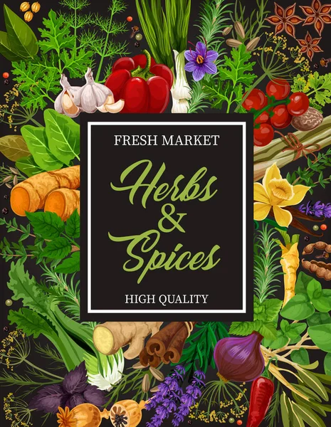 Ervas aromáticas e especiarias para tempero e cozimento de alimentos — Vetor de Stock