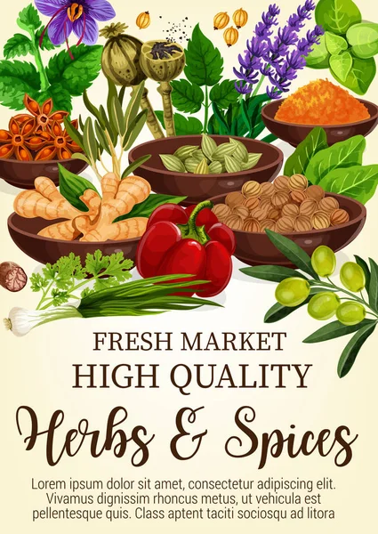 Ervas e especiarias em tigelas cartaz para o mercado fresco — Vetor de Stock