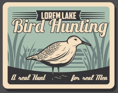 Avcılık, woodcock kuş retro vektör