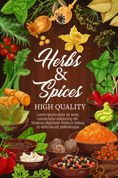 Ervas aromáticas e especiarias, condimentos orgânicos — Vetor de Stock