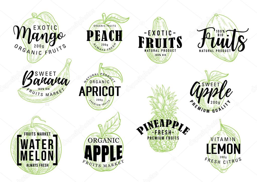 Exotic tropical fruits sketch lettering. Vector calligraphy of mango, peach or banana and apricot, organic apple with pineapple, watermelon and citrus lemon fruit