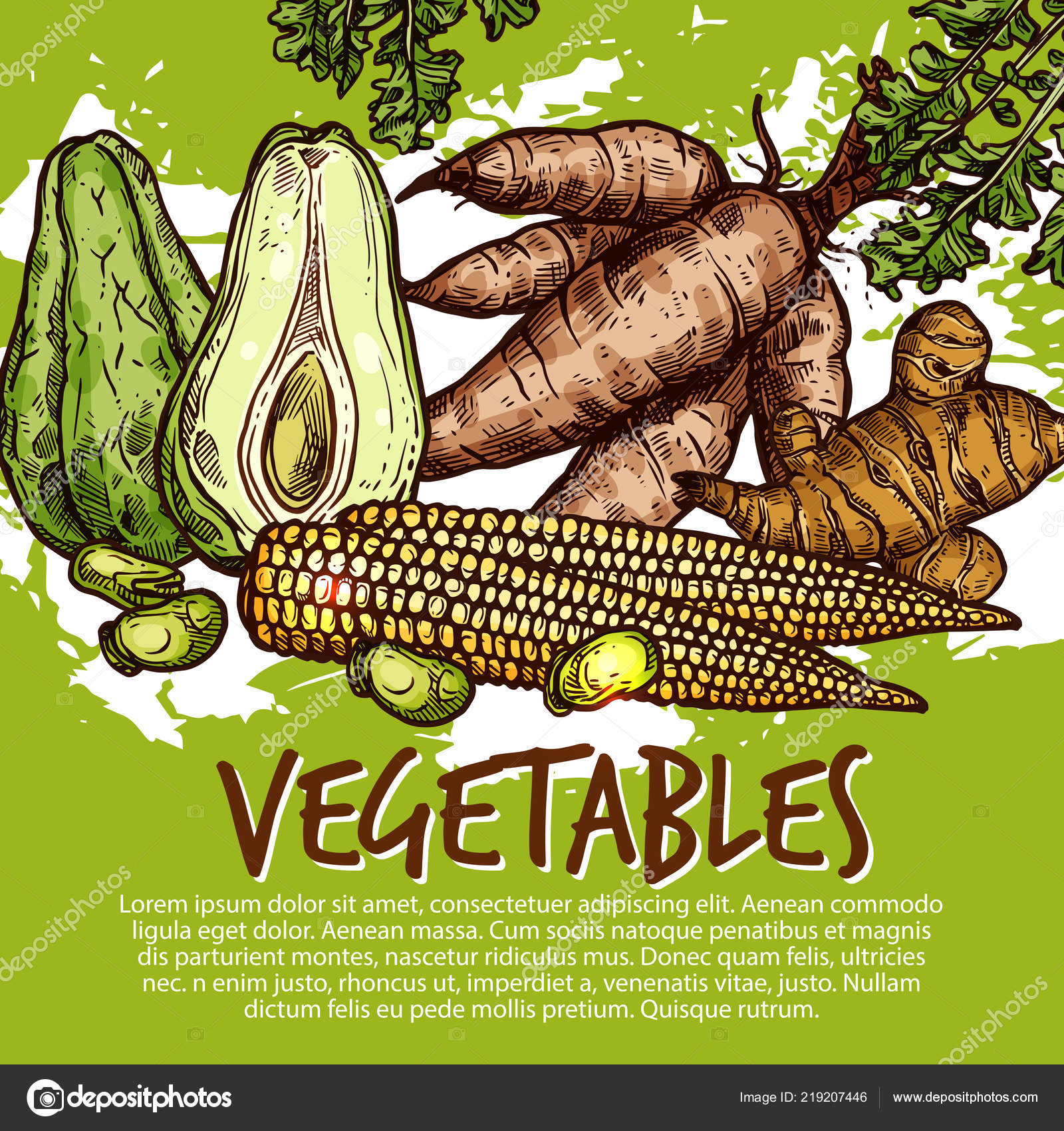 raices de verduras y hortalizas raices de verduras y hortalizas