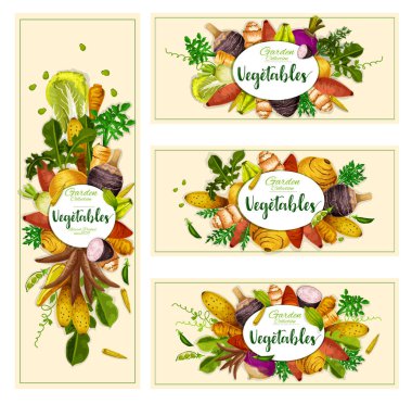Vegetables and exotic tubers, vector clipart