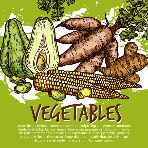Egzotik sebze ve yenilebilir kökleri, vektör — Stok Vektör