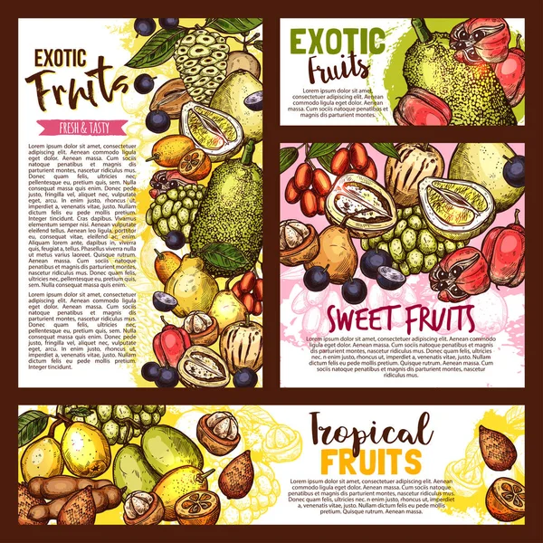 Exotische tropische vruchten, vector schets — Stockvector
