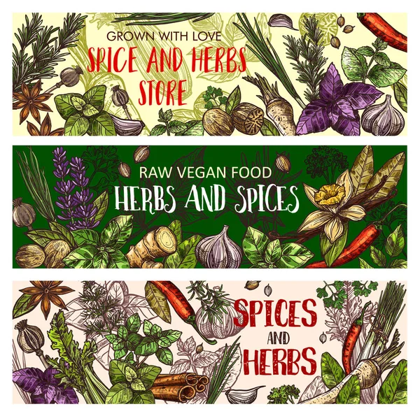 Vegan örter och ekologiska kryddor kryddor — Stock vektor