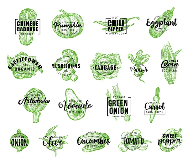Farm vegetables icons with lettering — Stock Vector