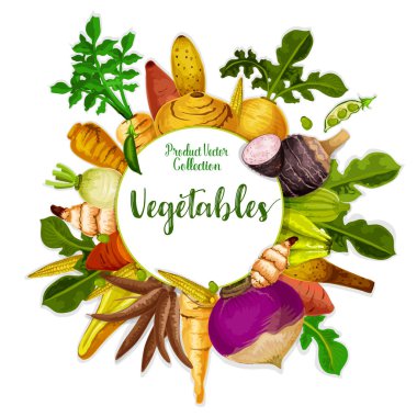 Vegetables and veggie tuber roots, harvest clipart