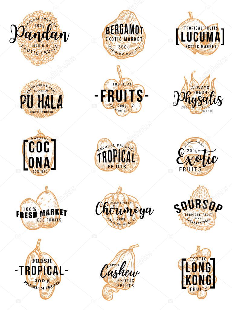 Exotic tropical fruits sketch lettering. Vector calligraphy of bergamot, pandan or pandanus and lucuma, farm pu hala fruit, physalis or cocona and organic cherimoya with soursop and cashew apple