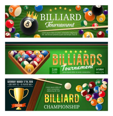 Bilardo spor oyunu, topları ve ipuçları