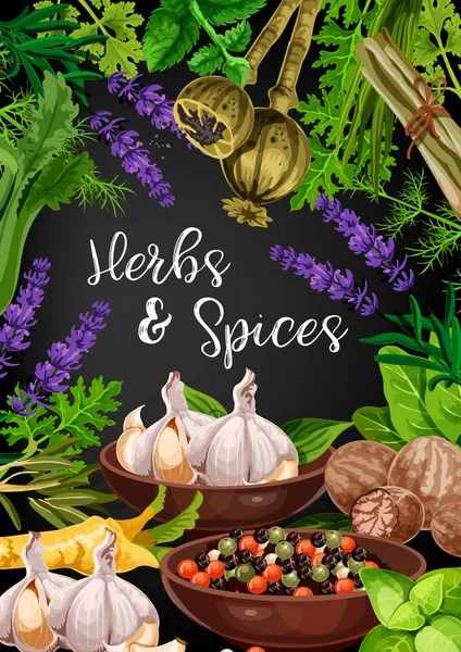 Herbs, spices and food seasonings, vector — Stock Vector