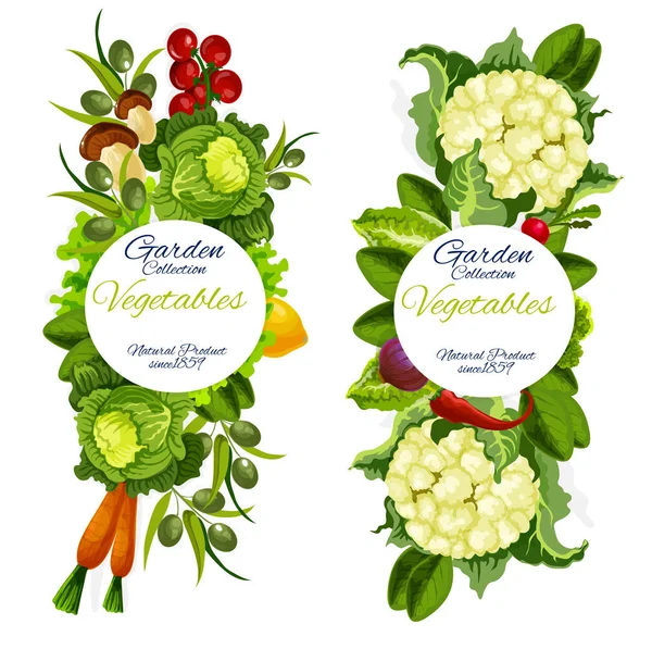 Органические натуральные овощи — стоковый вектор
